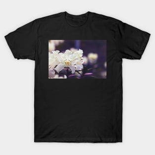 Rhododendron Daze T-Shirt